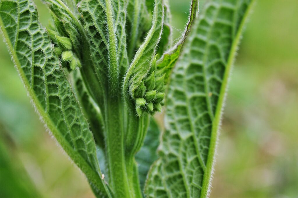 ニキビ薬使用中に脱毛する際の注意点は？