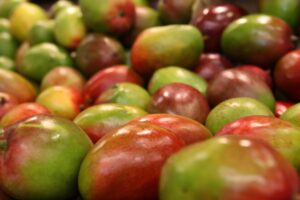 保湿クリームの成分は何が良いのか？