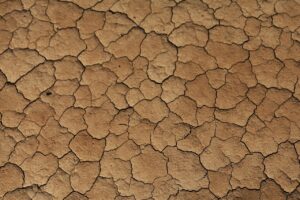 ローンの分割手数料総額を比較する方法は？