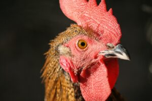 照射範囲はどこまで確認する必要があるのか？
