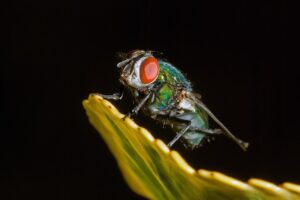 粘膜近くの照射における安全性確認の方法は？