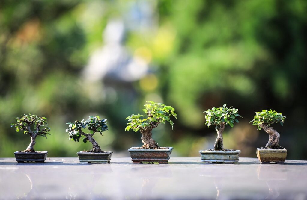 家庭用脱毛器の効果重視な口コミ比較はどれが一番おすすめ？