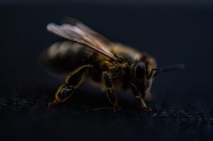 脱毛施術前に確認しておくべき重要なポイントは？